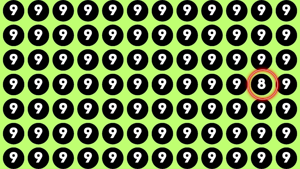 Hidden Number 8