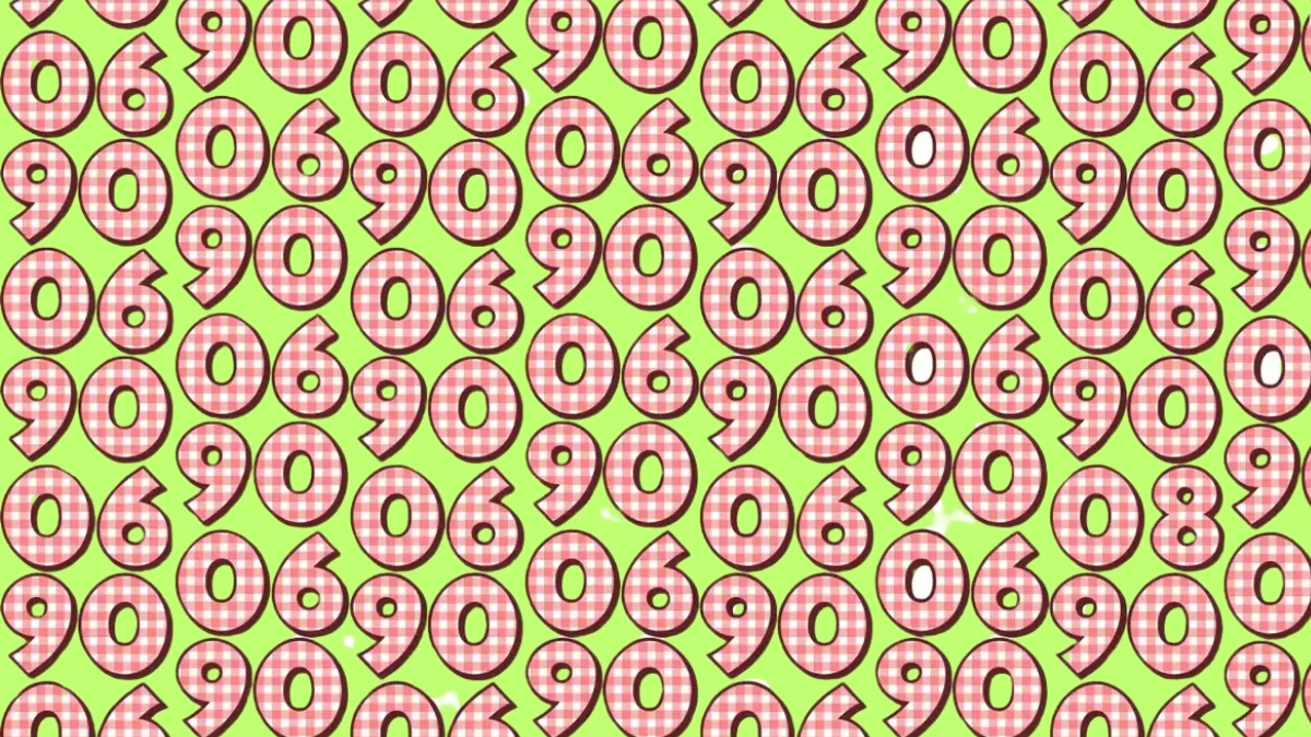 Hidden Number 8