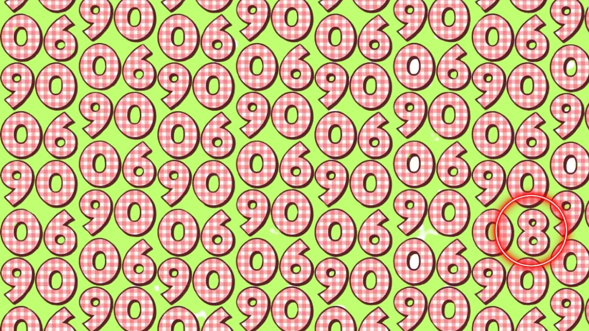 Hidden Number 8