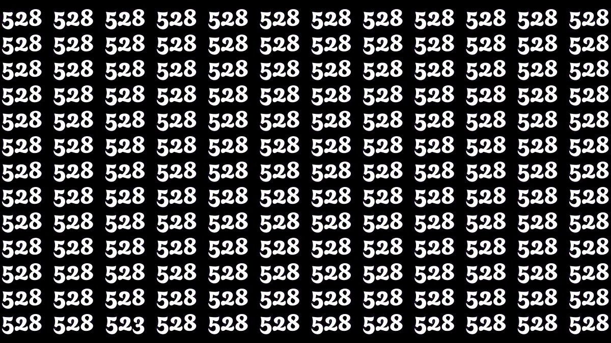 Hidden Number 523