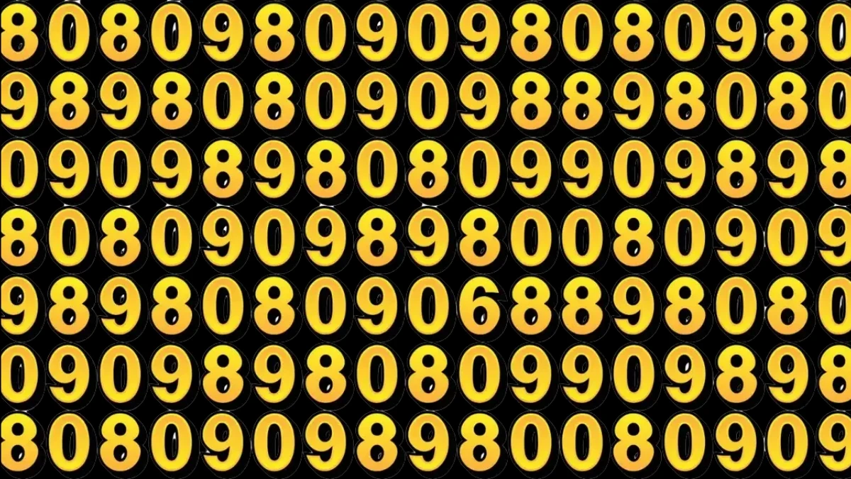 Hidden Number 6