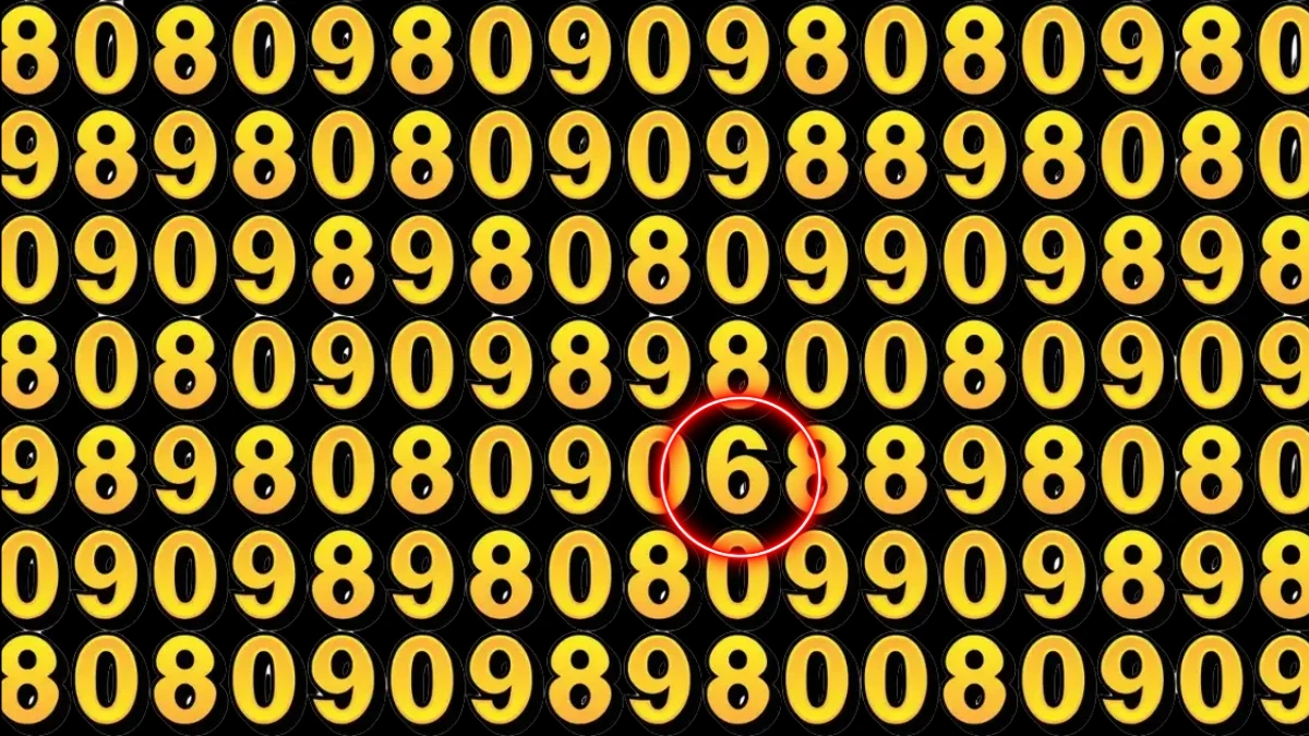Hidden Number 6