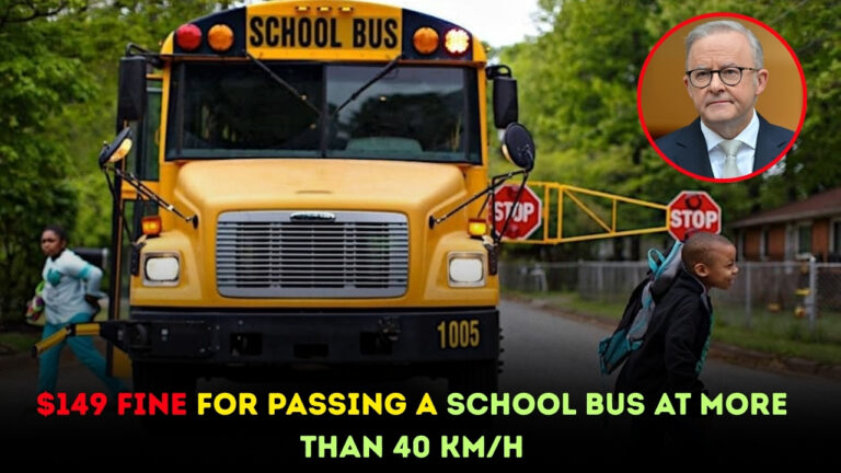 Passing a School Bus
