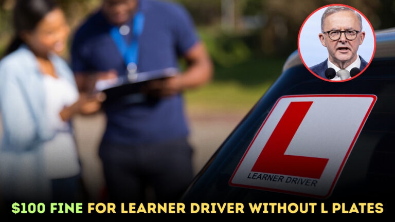 Learner Driver Without L Plates