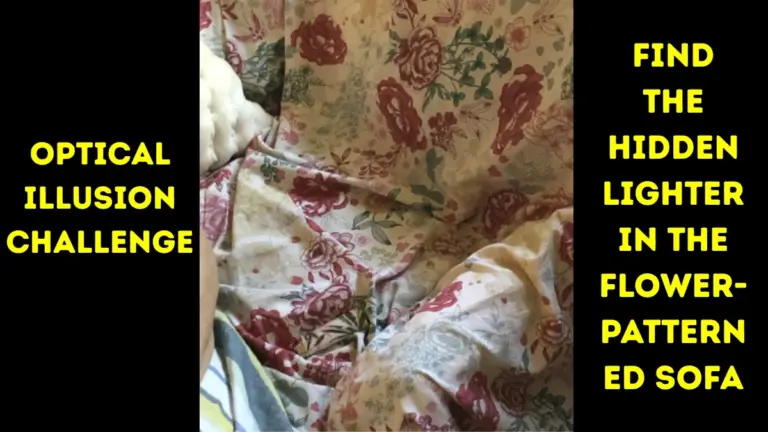 Find The Hidden Lighter