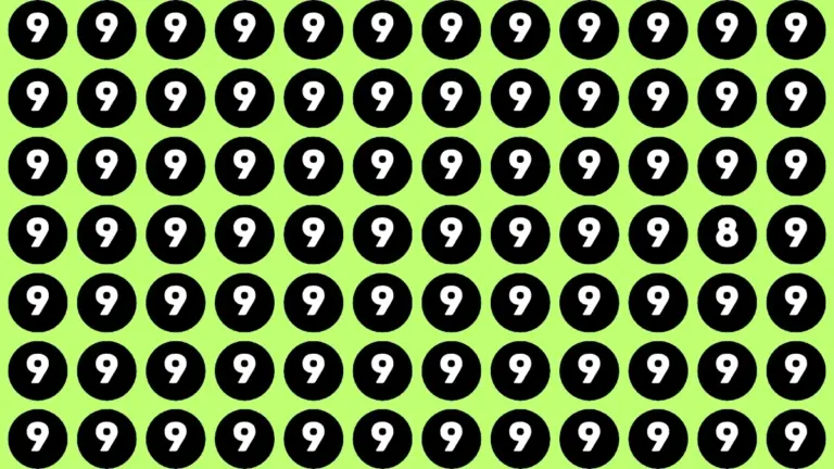 Hidden Number 8