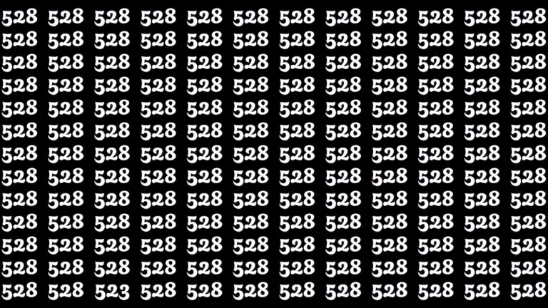 Hidden Number 523