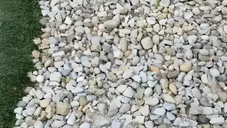 Hidden Golf Ball